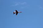 Filename=FL2014_46.jpg
Filesize=102KiB
Dimensions=1200x800
Date added=Mar 06, 2016 FL2014_46.jpg