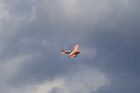 Dateiname=Flugtag_MFG_Porz_2009_889.jpg
Dateigröße=12KB
Abmessungen: 800x533
hinzugefügt am: 26. März 2010 Flugtag_MFG_Porz_2009_889.jpg